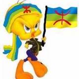 TAMAZGHA UNITED...